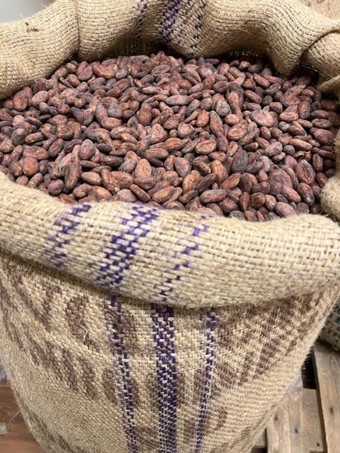 Cocoa beans, Madagascar, kakaobønner, bean to bar